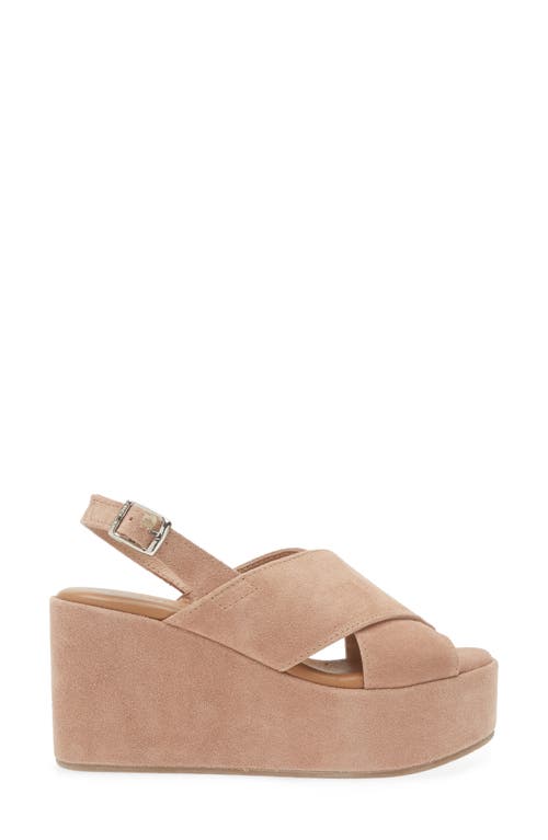 Shop Cordani Joanna Slingback Platform Wedge Sandal In Coccio