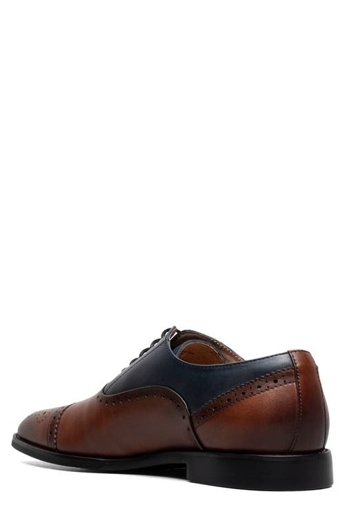 Stacy Adams Reynolds Cap Toe Oxford In Brown/ Navy