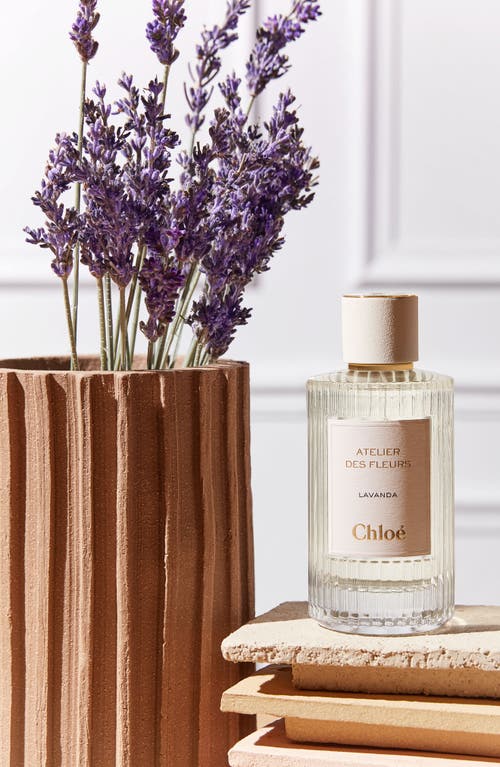 The 10 Best Lavender Perfumes 2023 - Lavender Floral Fragrances to Shop