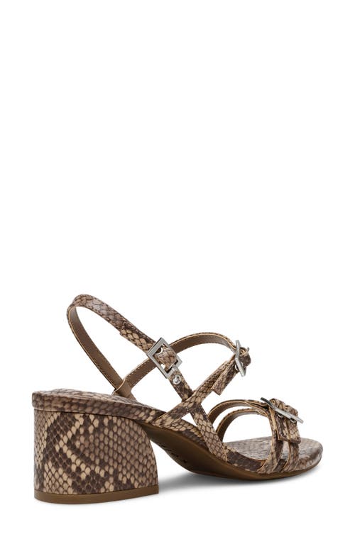 Shop Anne Klein Mackenzie Strappy Sandal In Taupe Snake Print