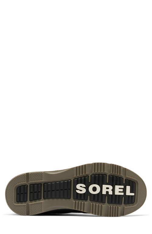 Sorel Men's Ankeny Ii Hiker Wp Boot In Brown/black In Tobacco/black