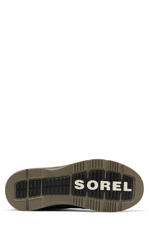 Shop Sorel Ankeny Ii Waterproof Hiking Boot In Tobacco/black