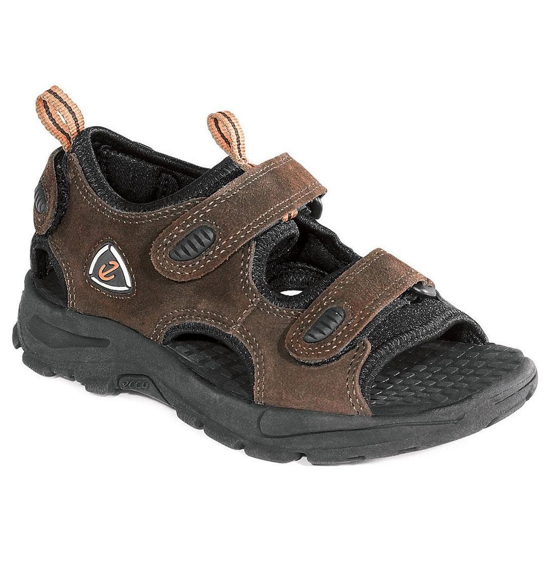 ecco raptor shoes