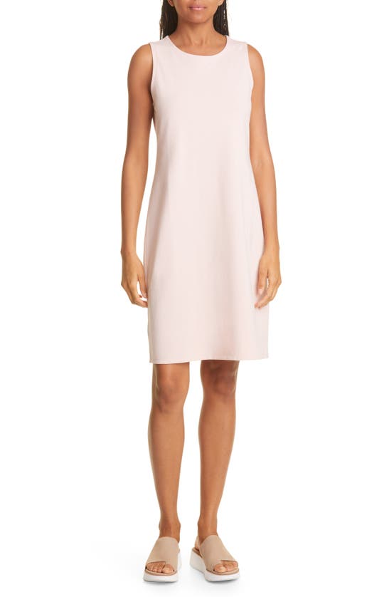 Eileen Fisher Organic Cotton Shift Dress In Powder