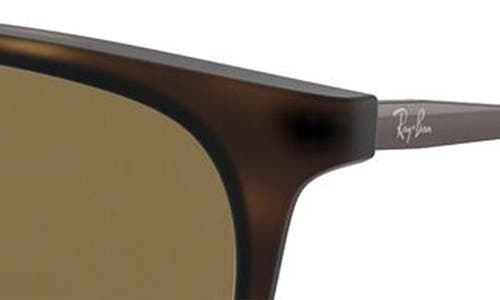 Shop Ray Ban Ray-ban Junior 50mm Round Sunglasses In Havana/brown Solid