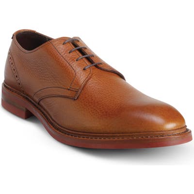 Allen Edmonds Mackenna Derby, Brown