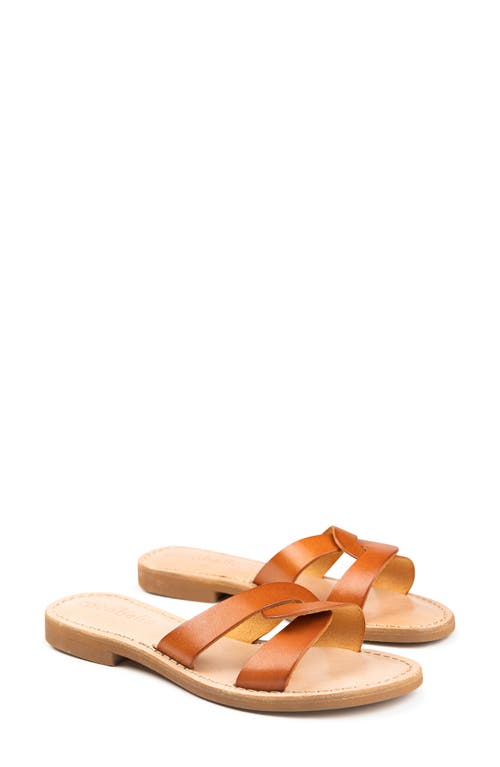 Cocobelle Aloha Slide Sandal in Brown