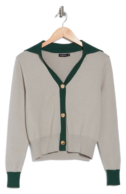 Area Stars Trina Bf Knit Button-up Sweater In Grey Green