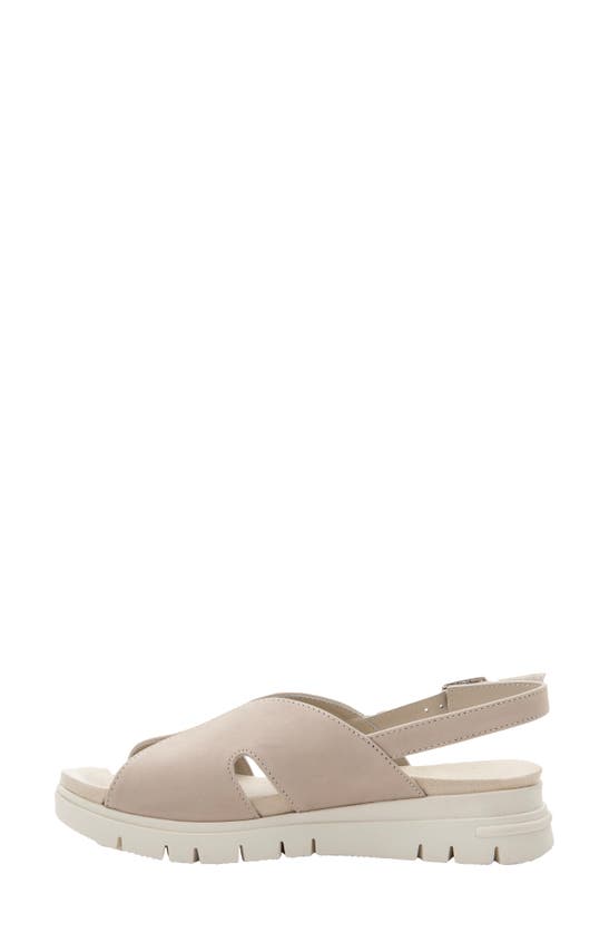 Shop David Tate Madona Unit Slingback Sandal In Bone