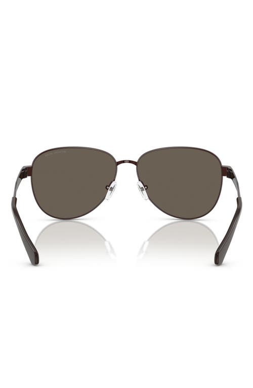 Michael Kors 59mm Pilot Sunglasses In Chocolate