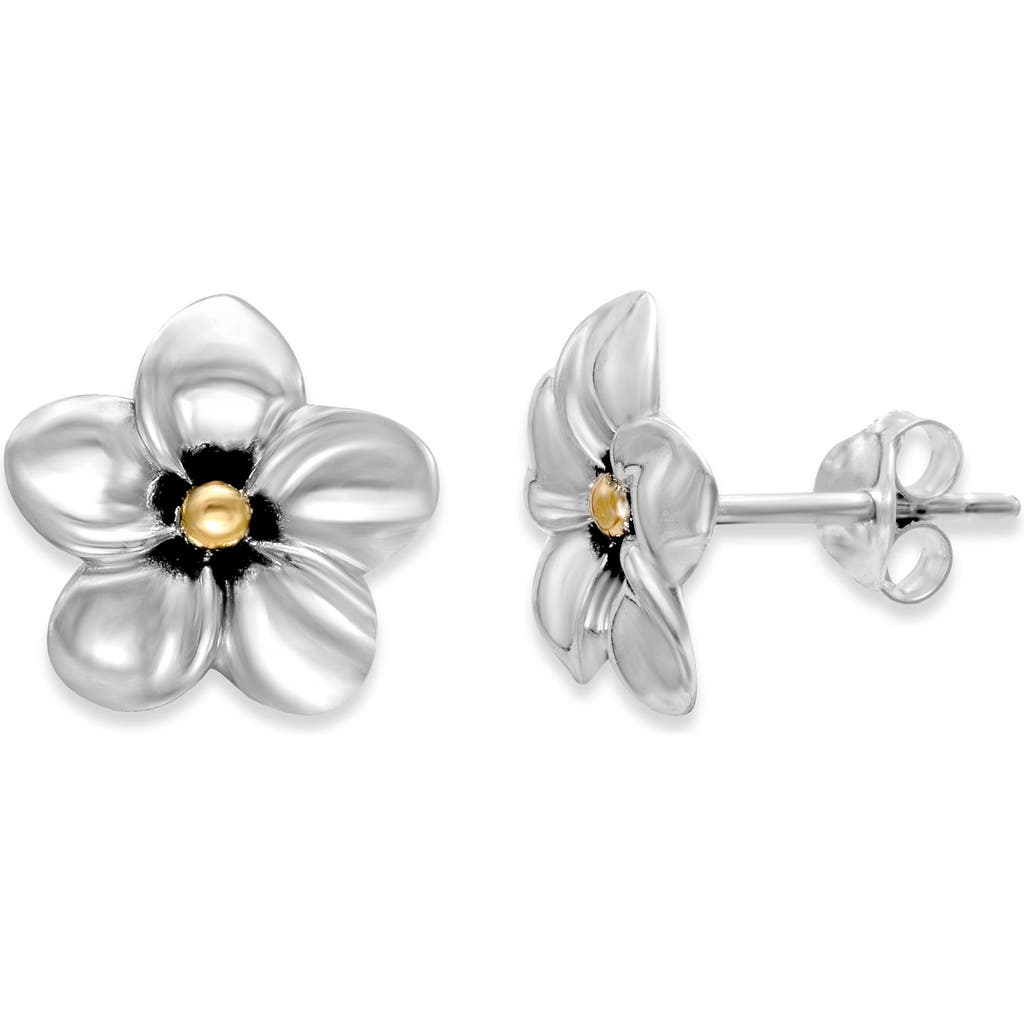 Samuel B. Frangipani Flower Stud Earrings In Metallic