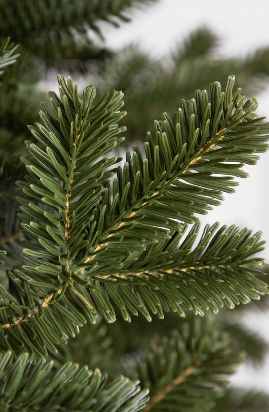 Balsam Hill Artificial Led Light Fraser Fir Tree In Led Clear