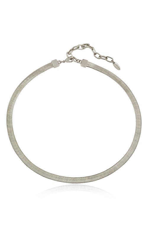 Shop Ettika Brooklyn Snake Chain Necklace In Rhodium