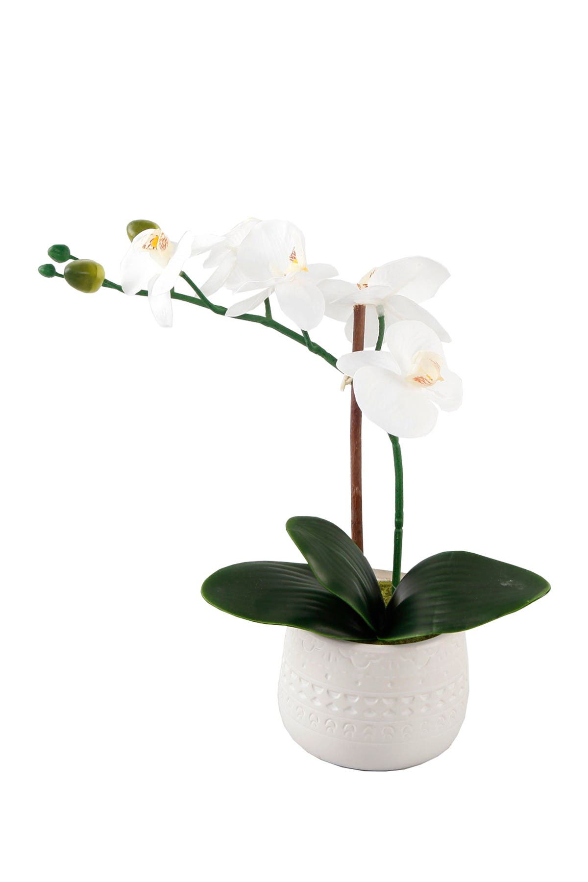 Flora Bunda 12 Real Touch Orchid In Ceramic Pot Nordstrom Rack