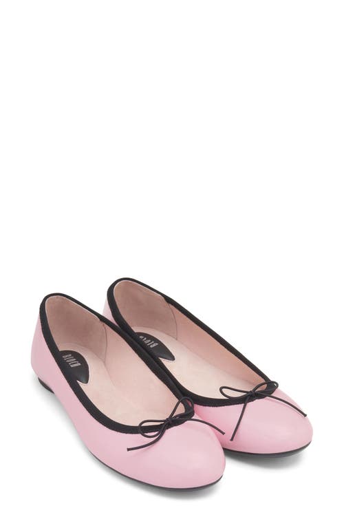 Almathea Ballerina Flat in Pink