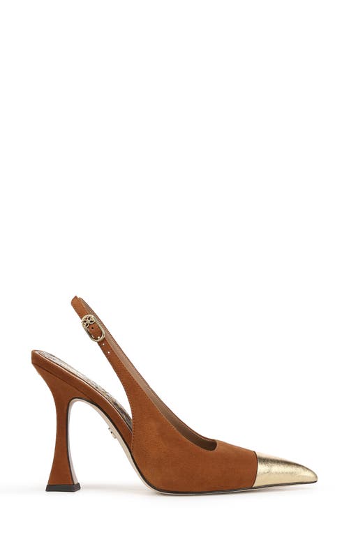 Shop Sam Edelman Odette Slingback Pointed Cap Toe Pump In Frontier Brown/amber Gold