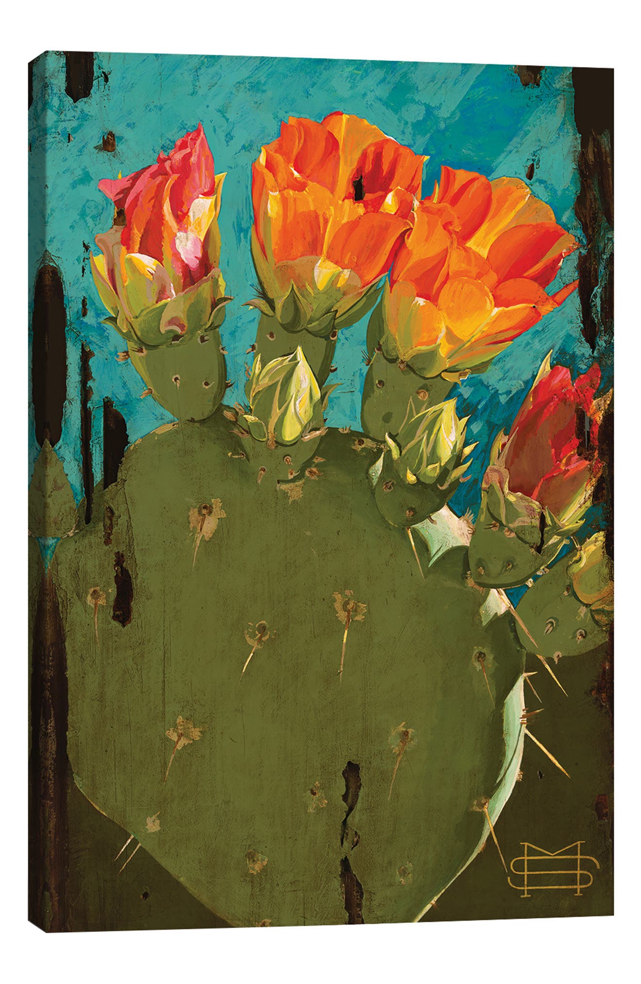 Icanvas Cactus Blooms By M & E Stoyanov Fine Art Studio In Multi