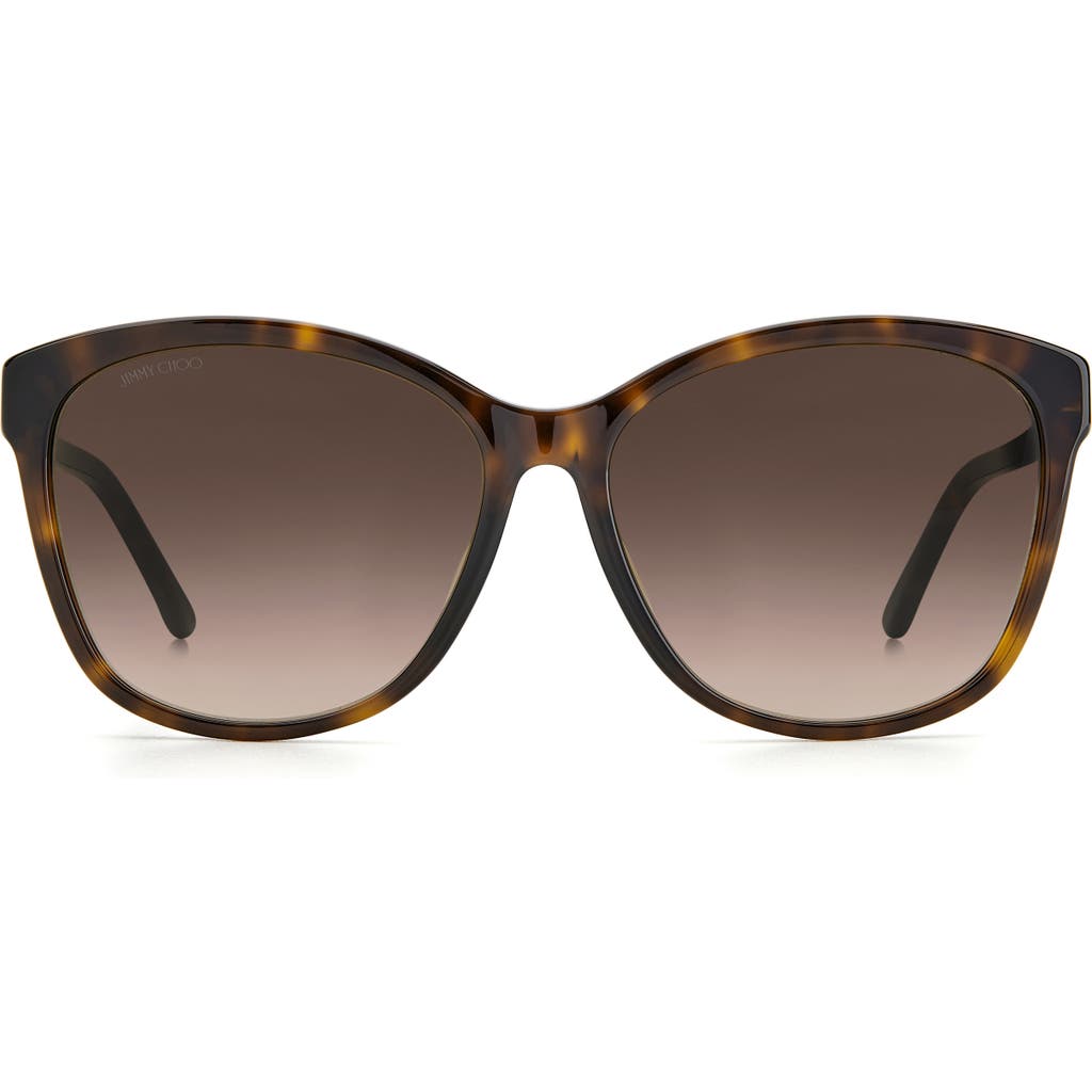 Jimmy Choo Lidie 59mm Cat Eye Sunglasses In Brown