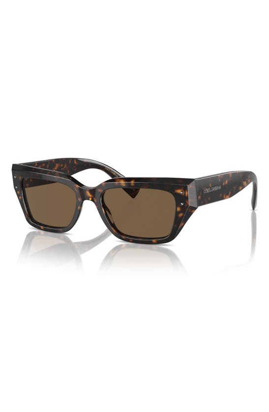 Dolce & Gabbana 52mm Cat Eye Sunglasses In Havana