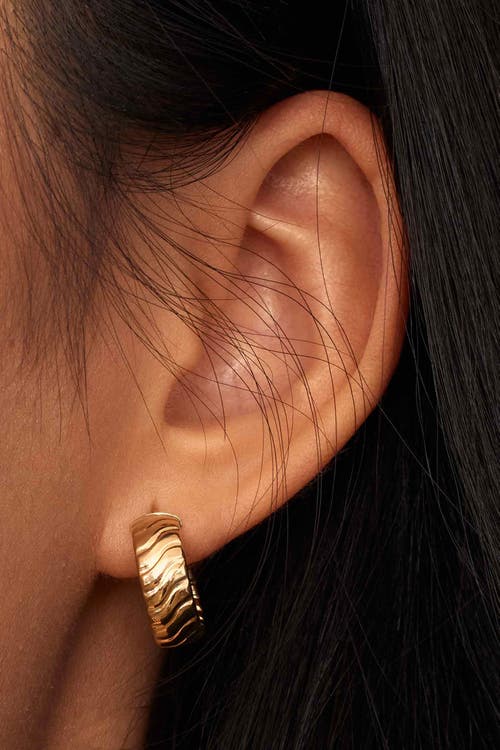 Oradina 14k Yellow Gold Cobra Hoops In Yellow Gold