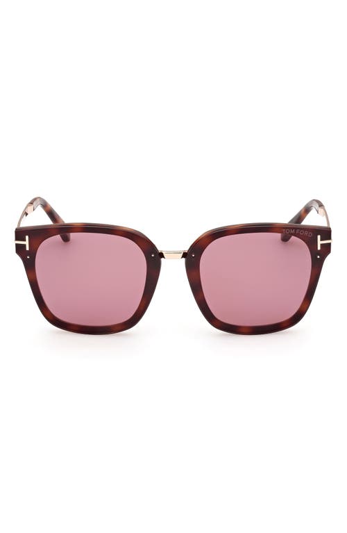 TOM FORD TOM FORD PHILIPPA 68MM GRADIENT SQUARE SUNGLASSES