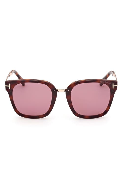 Shop Tom Ford Philippa 68mm Gradient Square Sunglasses In Dark Havana/violet