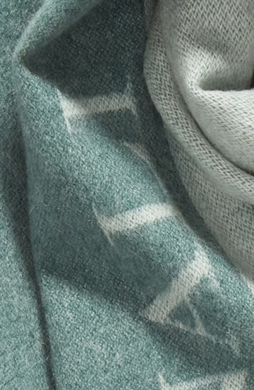 Shop Canali 90th Anniversary Cashmere Scarf In Light Green