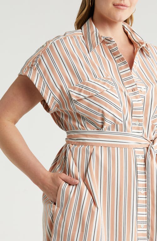 Shop Nordstrom Stripe Belted Cotton Utility Shirtdress In Beige Tuscany Leon Stripe