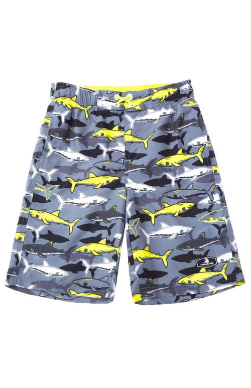 Rokka&rolla Kid's Swim Trunks With Mesh Lining And Upf 50+ Protection In Shark Fin