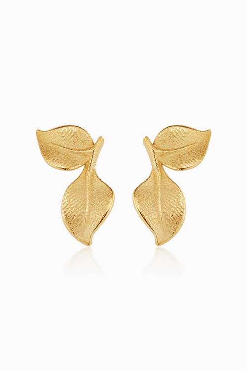 Oradina 14k Yellow Gold New Beginnings Stud Earrings In Yellow Gold