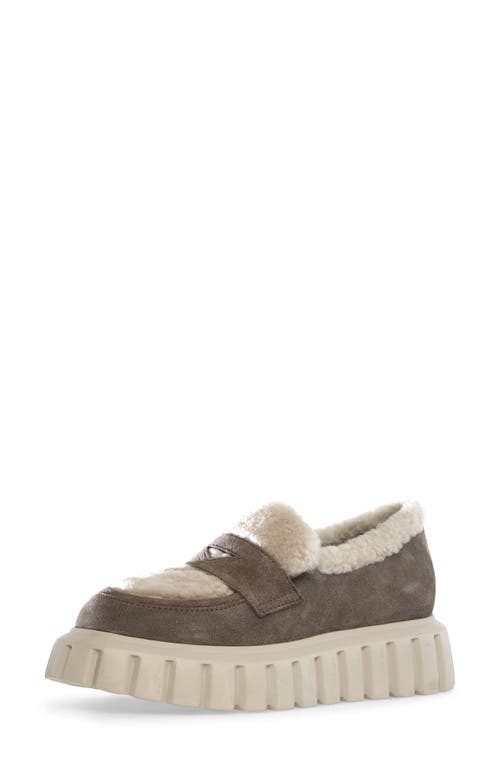 Voile Blanche Grenelle Wool Trim Platform Loafer In Grey