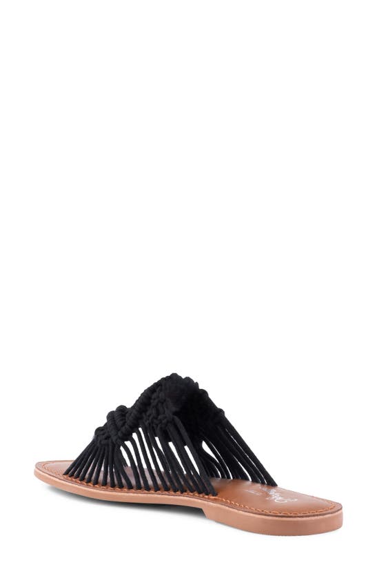 Shop Seychelles Mahogany Slide Sandal In Black
