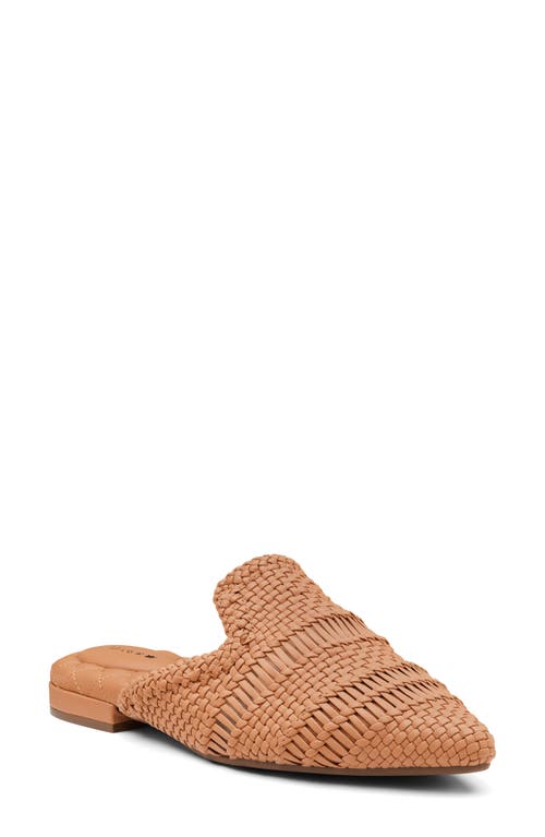 Dove Woven Pointed Toe Mule in Toffee Woven