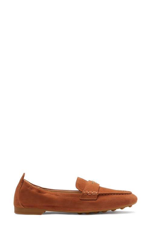 Shop Kate Spade New York Eliza Moc Toe Loafer In Sandalwood