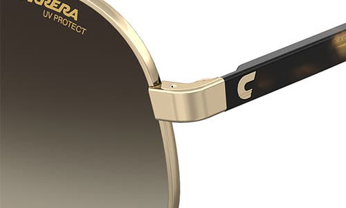 Shop Carrera Eyewear 58mm Aviator Sunglasses In Gold Havana/brown Gradient