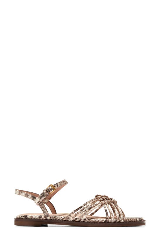 Shop Cole Haan Jitney Sandal In Sandollar Soho Snake Print