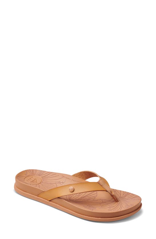 Shop Reef Cushion Porto Cruz Flip Flop In Natural