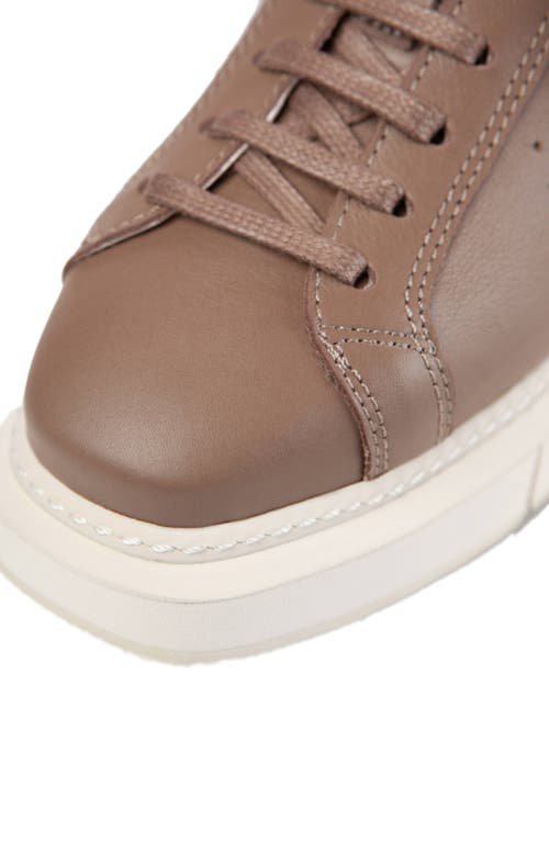 Shop Paloma Barceló Paloma Barcelo Agen Sneaker In Dark Beige/taupe