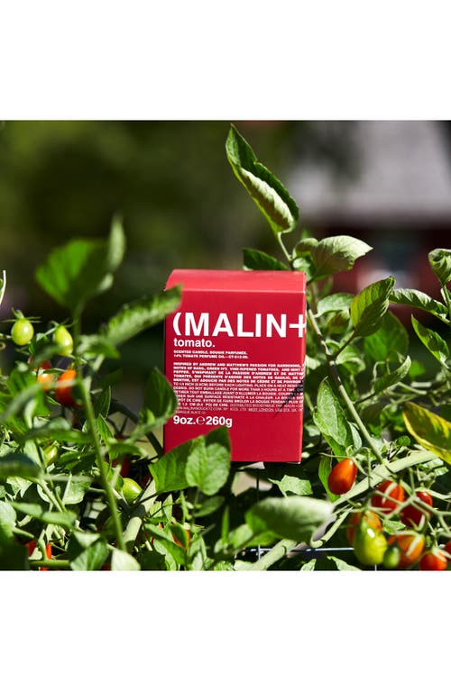 Malin + Goetz Tomato Scented Candle In No Color