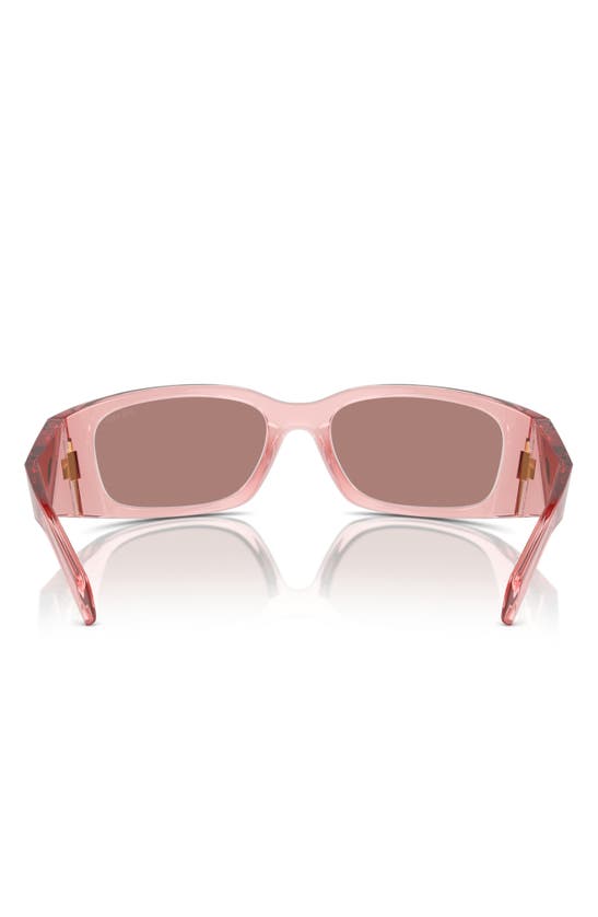 Prada 60mm Symbole Butterfly Sunglasses In Pink/ Lite Brown