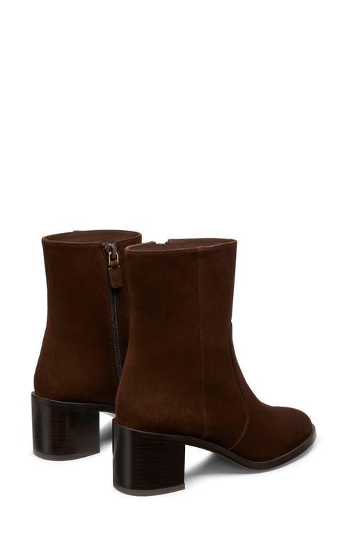 Shop Stuart Weitzman Esme Zip Bootie In Walnut/dark Brown