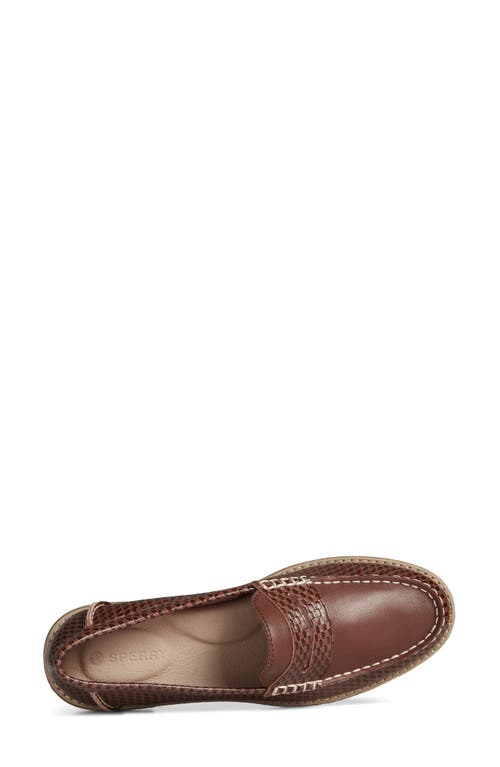 Shop Sperry Top-sider® Seaport Embossed Penny Loafer In Brown