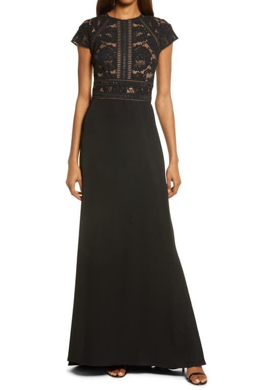 Tadashi Shoji Lace & Crepe A-line Gown In Black/nude