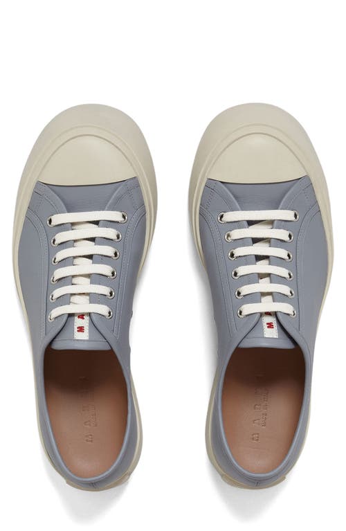 Shop Marni Pablo Low Top Sneaker In Dolphin