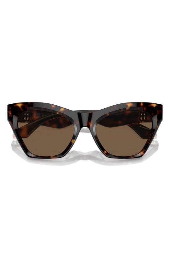 Shop Burberry 55mm Cat Eye Sunglasses In Dark Havana