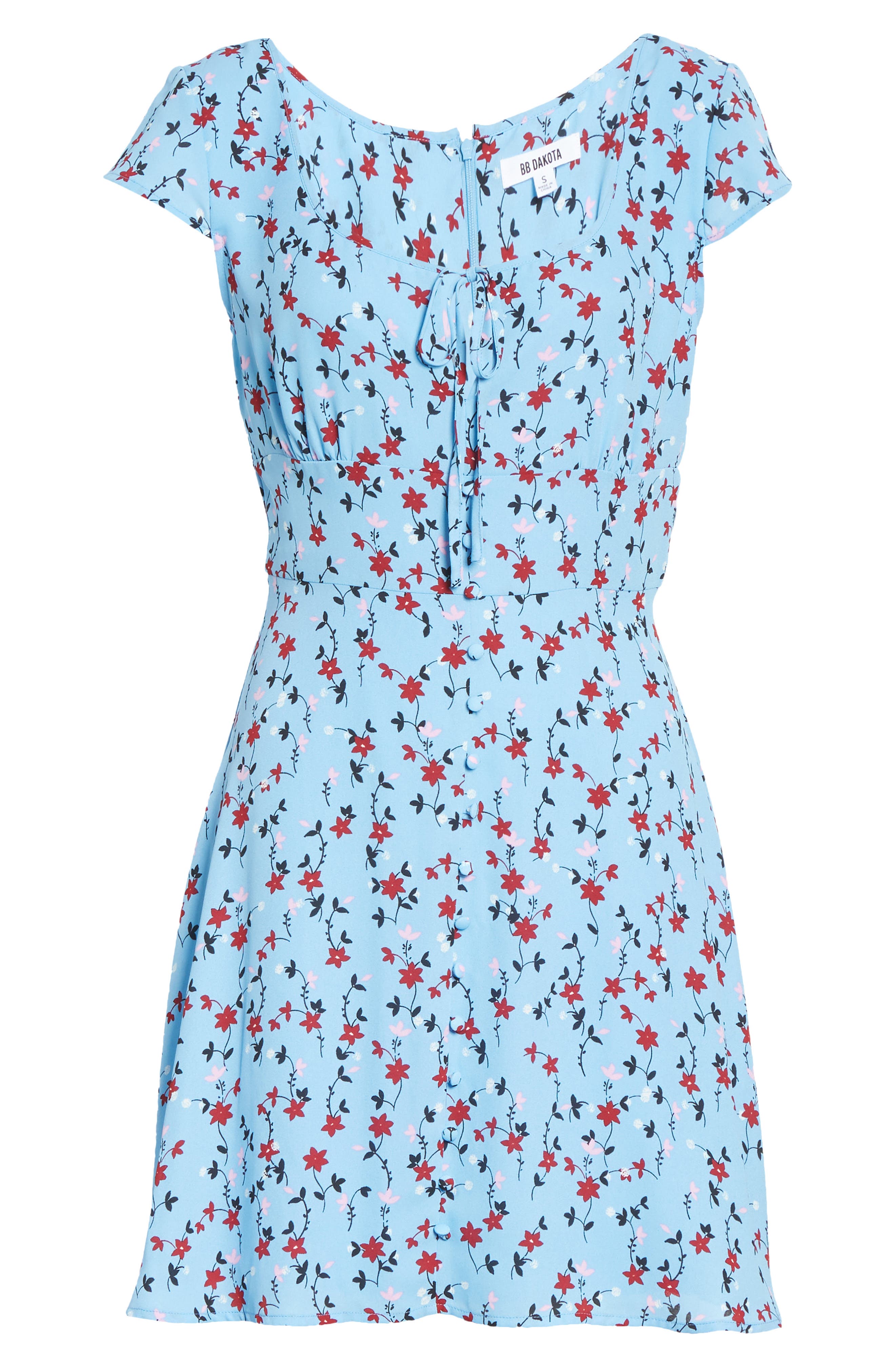 bb dakota mini dress