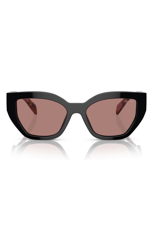 Prada 55mm Butterfly Sunglasses in Lite Brown at Nordstrom