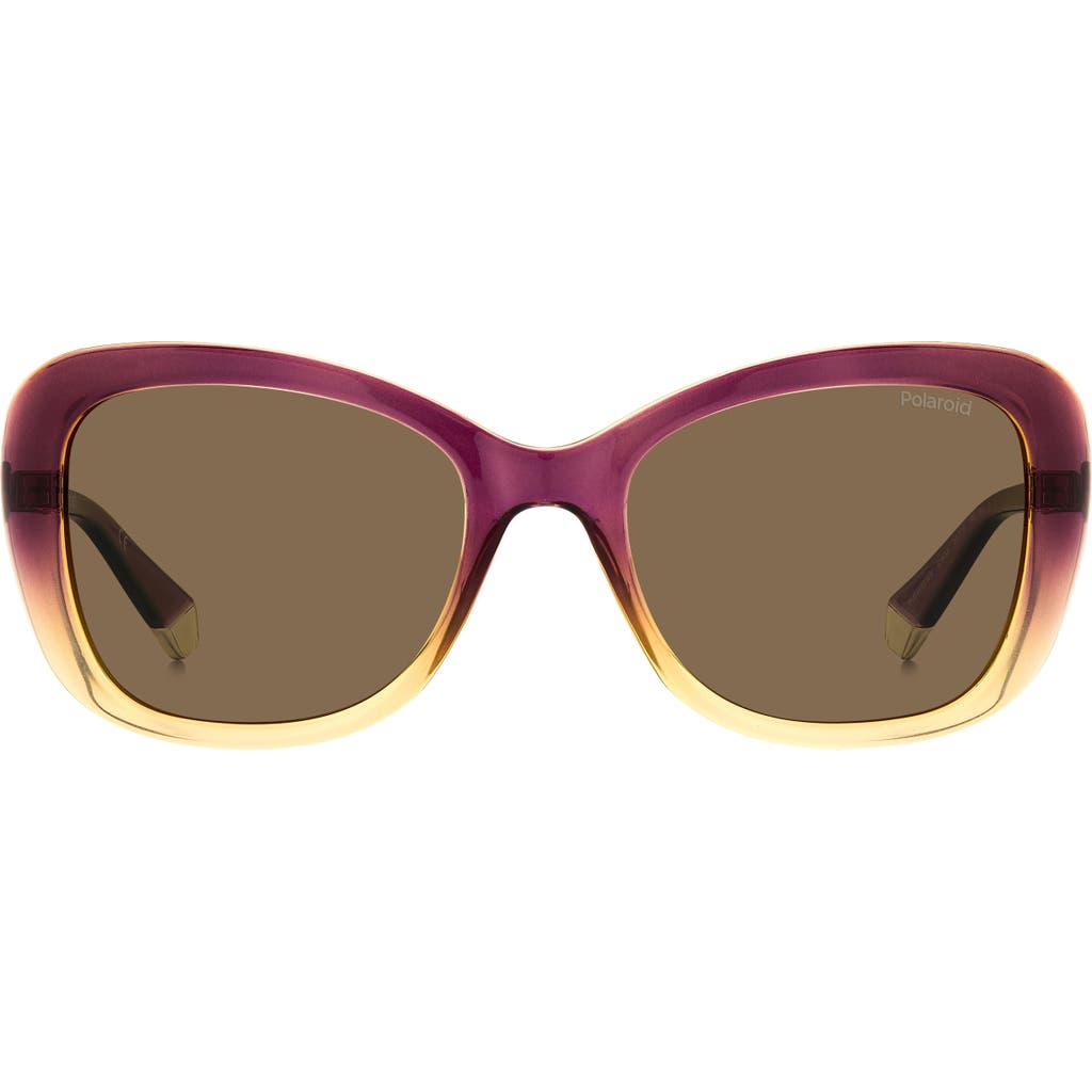 Polaroid 53mm Polarized Cat Eye Sunglasses In Violet Beige/bronze Polarized
