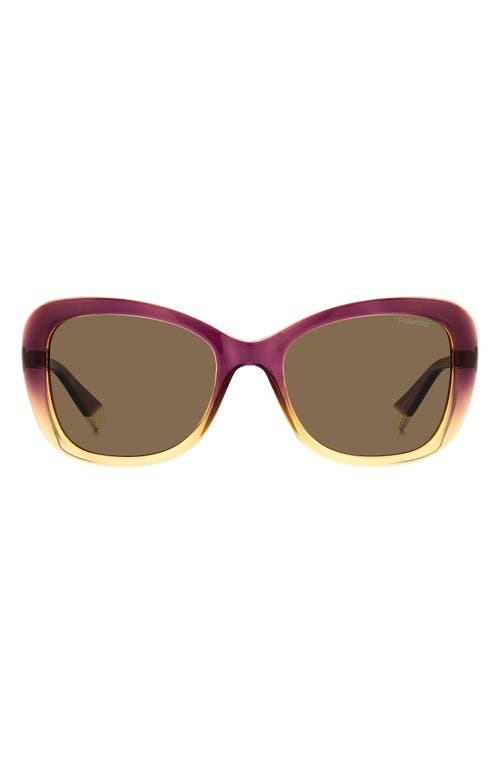 53mm Polarized Cat Eye Sunglasses in Violet Beige/Bronze Polarized