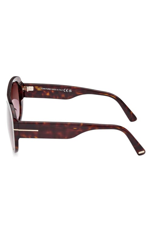 Shop Tom Ford Cecil 55mm Pilot Sunglasses In Shiny Dark Havana/bordeaux